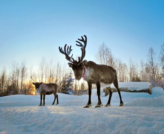 Meet the Real Santa in Finnish Lapland | Travel Insider