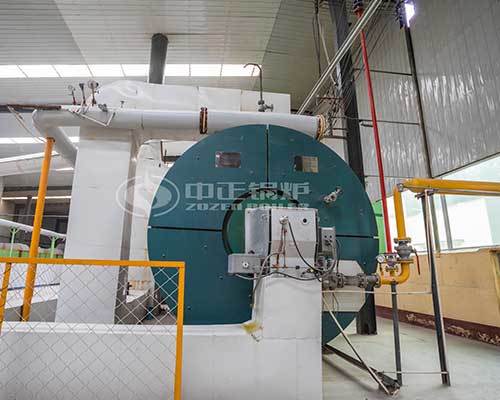 Oil fired organic heat carrier boiler