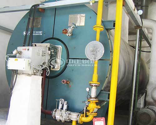 Gas fired thermal oil boiler