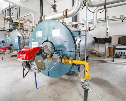 Thermal fluid heater in Sri Lanka