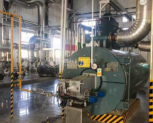 Oil fired thermal fluid heaters