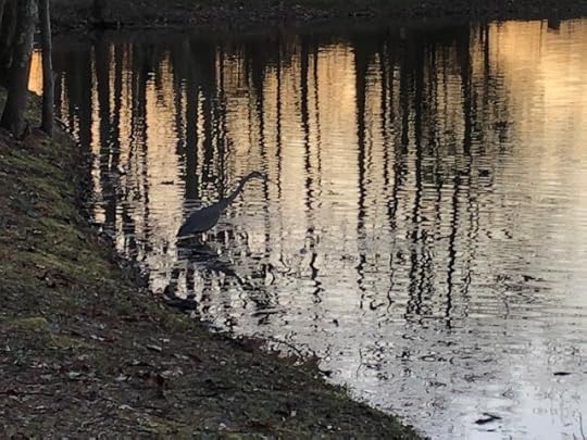 Stay Home and Share Thanks Apart