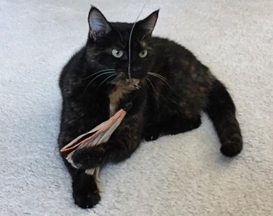 cat-wand-toy