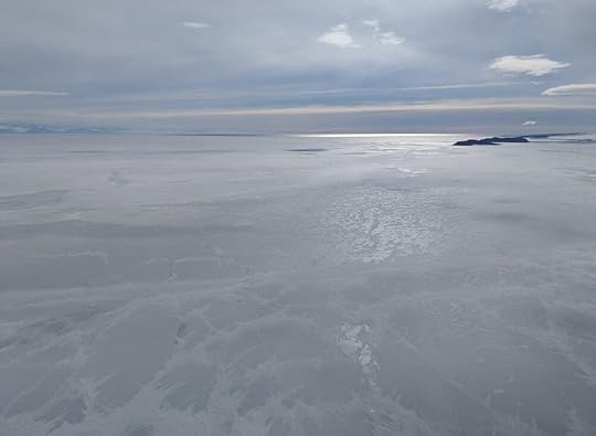 Being up this high gave an amazing sense of scale, with the expanse of the sea ice spread out like a vast marble floor beneath us.