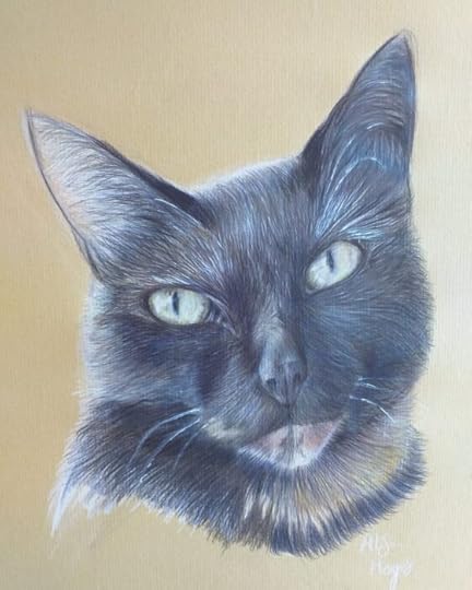 cat-drawing