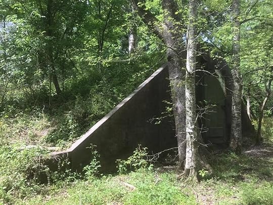 woodlands conservancy