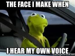 The face I make when I hear my own voice - Kermit Driving | Meme Generator