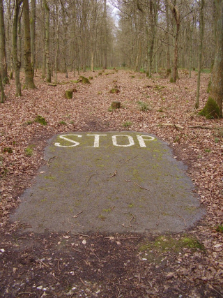 Road-to-nowhere-1356670