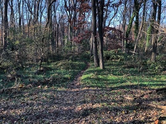 situational awareness and pathwalking