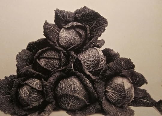 Cabbages (Larry's Perfection) by Charles Jones