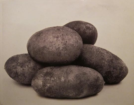 Potatoes by Charles Jones