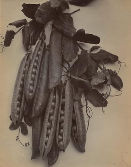 Peas by Charles Jones