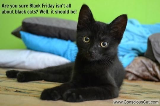 black-cat-friday