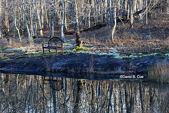 The Bench, by David B. Coe