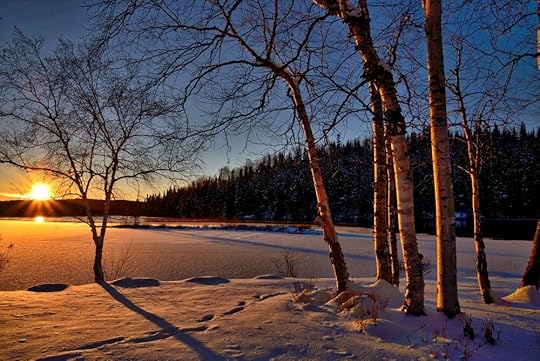 pexels-pixabay-259620.jpg