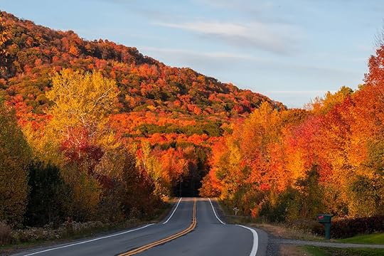 Worth the detour: America’s loneliest, most beautiful roads