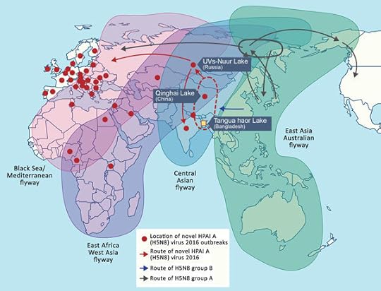 Rotte migratorie e distribuzione del virus H5N8. Il rettangolo giallo e' il focolaio di origine del Bangladesh. El-Shesheny, Rabeh, et al.