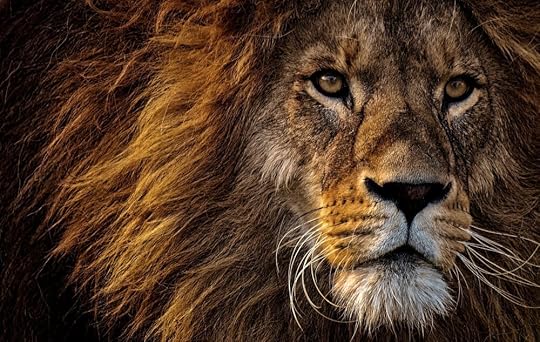 Photo: Alexas Fotos on Pexels.com