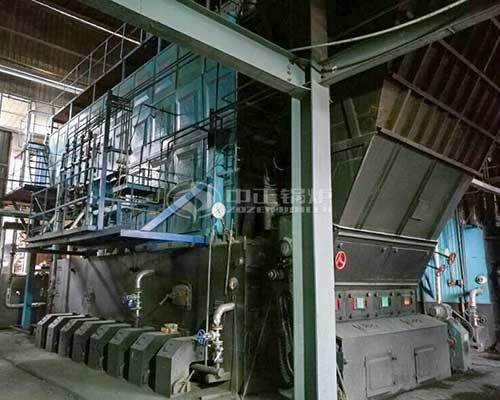 Biomass steam boilers supply