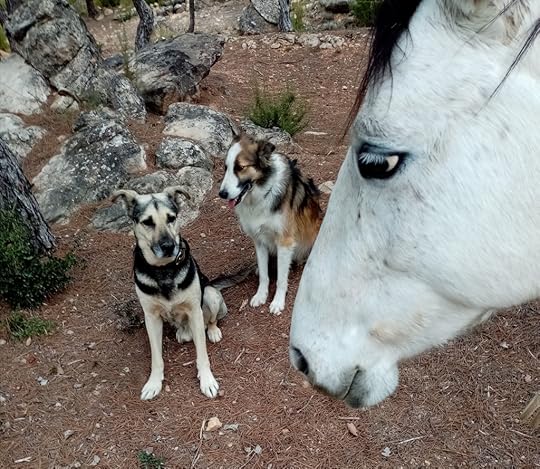 La imagen tiene un atributo ALT vacío; su nombre de archivo es img_20201202_111432.jpg