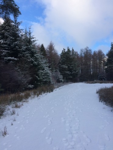 snowy track