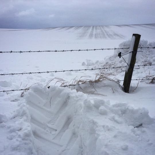 Tractor tracks in the snow