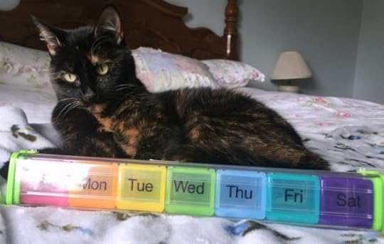 pill-organizer