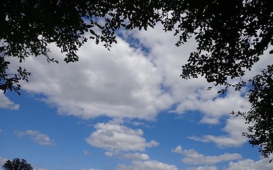 view from hammock