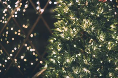 Christmas tree lights in a window