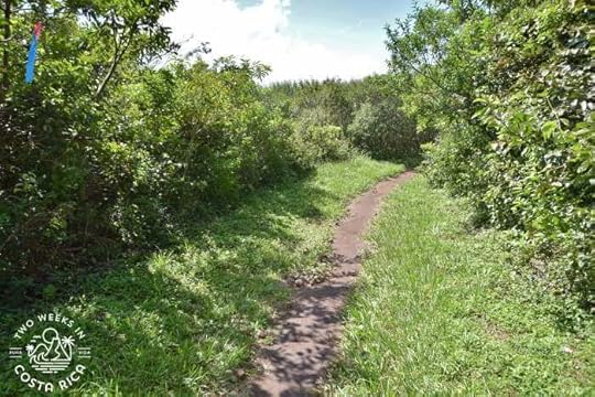 Trail Conditions Oropendola Waterfall