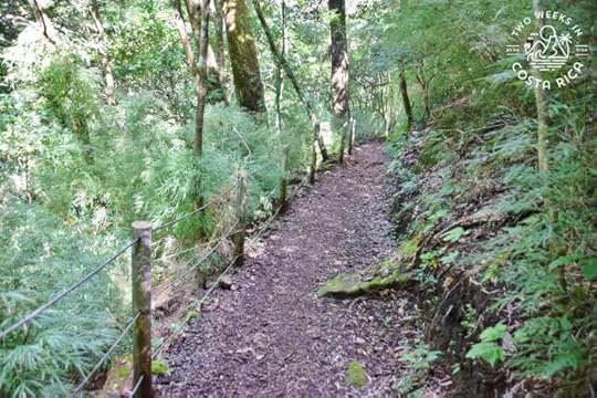 Trail Oropendola Waterfall