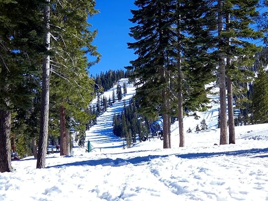 ski slopes and trees