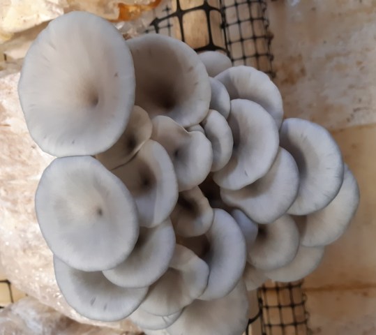 1-22