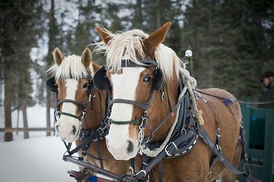 8 adventurous ways to celebrate winter in Yellowstone Country Montana