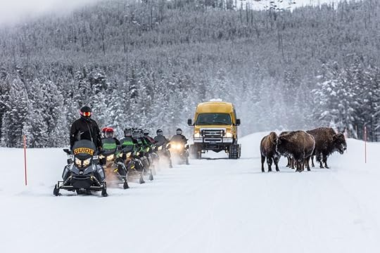 8 adventurous ways to celebrate winter in Yellowstone Country Montana