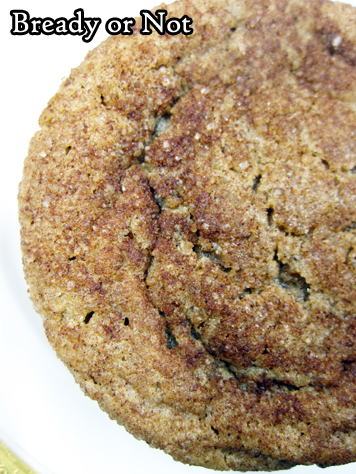 Bready or Not Original: Cinnamon-Coffee Cookies 