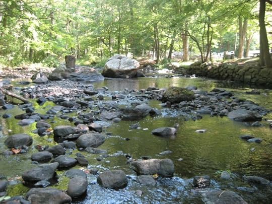 positivity is a steppingstone