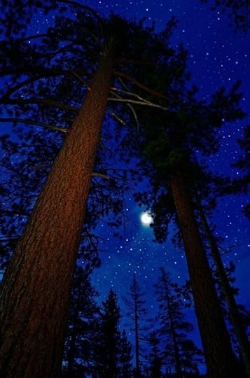 Camping during the summertime around the lake. It's always a blast. I miss the big pines, starry night sky, and hanging out b… | Lake tahoe, Beautiful moon, Tahoe