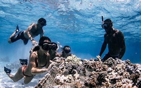 Coral Gardeners