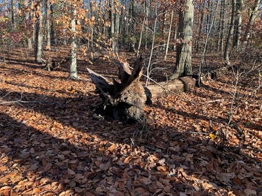 The Past, Present, and Future are all One