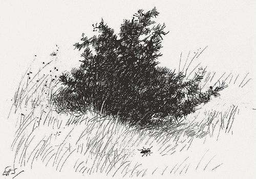 Original Winnie The Pooh Drawings | Winnie the pooh drawing, Drawings, Winnie the pooh