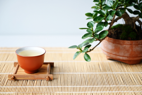 Japanese Green Tea