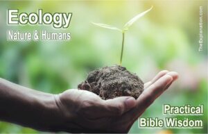 Ecology, the relationship between air, water, land, and people. Finding the balance.