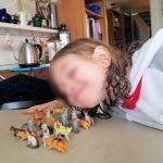 Feralchild with her cat friends