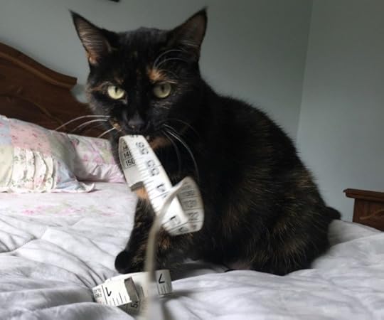 cat-measuring-tape