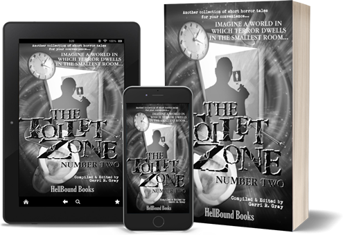 The Toilet Zone: Number Two