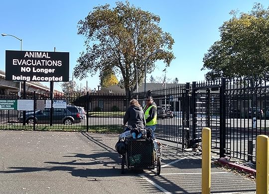 animal evacuation site