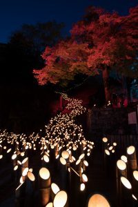 The Light Returns. The Words Change Direction