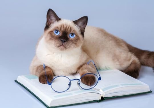 cat-book-reading