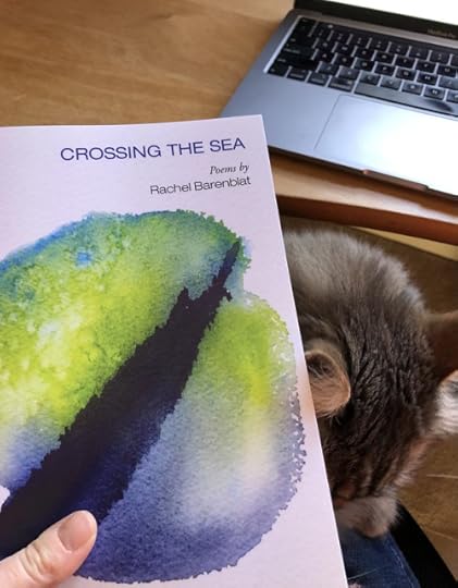 50750420963_4fa77274f5_c